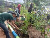 Tak Mudah, Menyulap TPS Liar Jadi Kampung Tematik