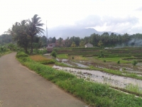 Pengembangan Kawasan Agrowisata Di Citeureup Terhambat Klaim Lahan