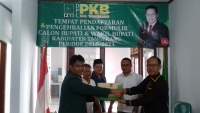 Pilbup Tangerang, Zaki Daftar di PKB