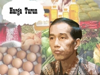 Fase Stres Sosial