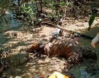 Polisi Selidiki Penemuan Mayat Tanpa Identitas