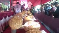 Dinas Pertanian Banten Gelar Festival Durian Banten