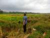 Sawah Tak Bisa Ditanam Padi, Petani di Desa Bunar Menjerit