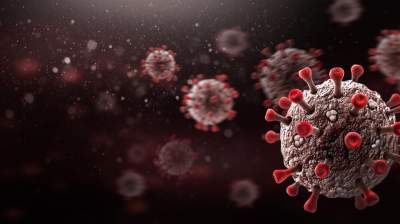 Kemenkes Sebut HMPV Sudah Masuk Indonesia, Sudah Menyebar Sejak 2001