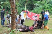 Program Satu Juta Paket Qurban, PKS Banten Bagikan 80 Ribu Paket Qurban di Wilayah Banten