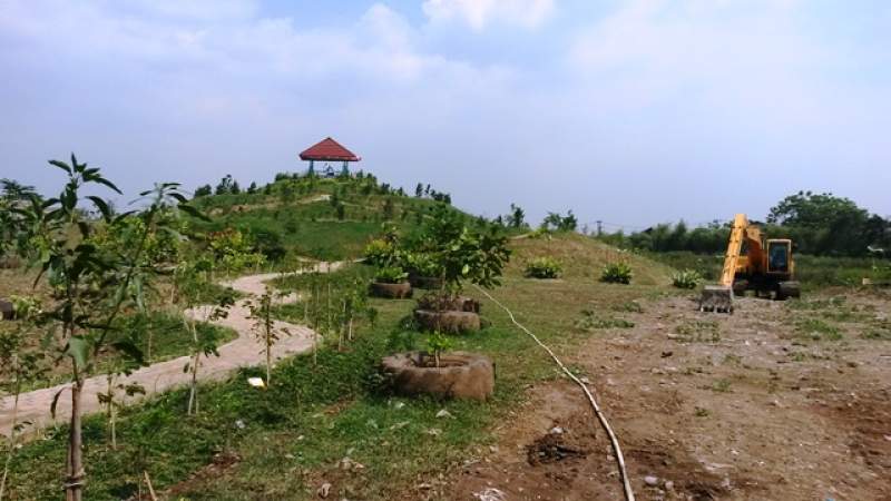 Bukit hijau di TPA Rawa Kucing