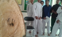Pohon Berlafadz 'Allah' Ditemukan di Sekolah