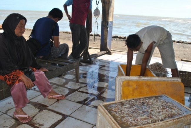 Harga Udang Dipasaran Mulai Meroket