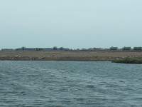 Suasana pengurugkan oleh pengembang proyek PIK II di Teluk Naga.