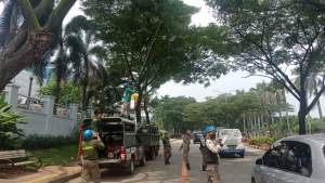 Petugas Linmas Pol PP Tangsel saat mendata dan membersihkan pohon rawan tumbang dan rawan patah di Jalan Tekno Widya, Kecamatan Setu.