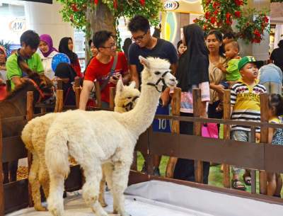 Sambut Nataru, Tangcity Hadirkan Suasana Dan Kemeriahan Baru