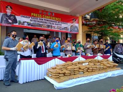 Ungkap Kasus Narkotika, 303 KG Ganja Dimusnahkan Polda Banten