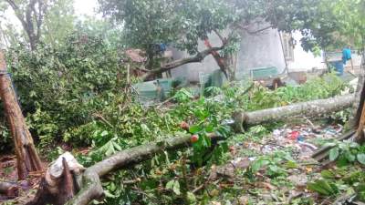 Akibat Hujan Disertai Angin Kencang Puluhan Rumah di Cisereh Rusak