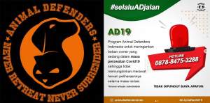 Pasien Covid-19 Bisa Titip Hewan Peliharaan ke Animal Defenders Indonesia