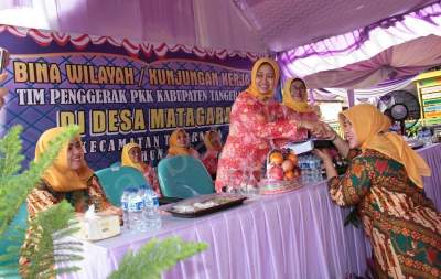 Administrasi PKK Desa Matagara Diapresiasi Pemkab Tangerang