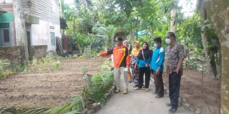 Plt Walikota Tanjungbalai Tinjau Kebun Tanaman,...